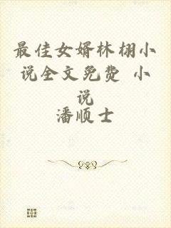 最佳女婿林栩小说全文免费 小说